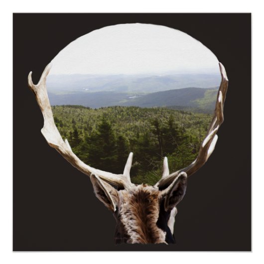 彼の領地 ポスター (正面)