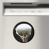 彼の領地 マグネット (インサイチュ (食洗機))