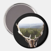 彼の領地 マグネット (正面/裏面)