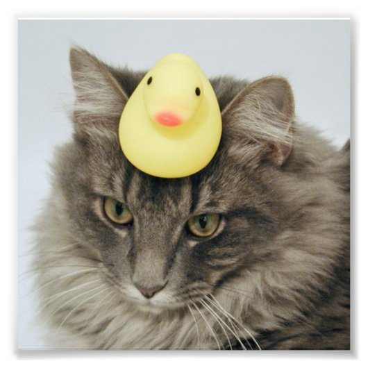 彼の頭の上に潜る フォトプリント            (正面)