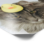 彼の頭の上に潜る フォトプリント            (角)