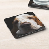 彼の頭部を休ませているバセットハウンド コースター (左側)