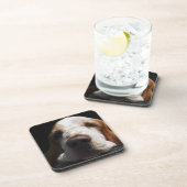 彼の頭部を休ませているバセットハウンド コースター (右側)