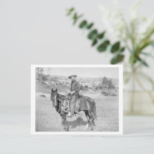 彼の馬の写真にカウボーイサウスダコタ ポストカード (スタンド正面)