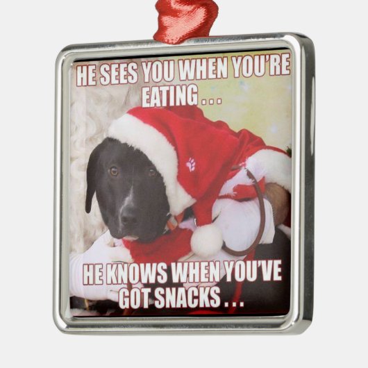 彼はあなたは食べるとき会います。 黒い実験室のクリスマス メタルオーナメント (左)