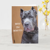 彼はなぜ「70誕生日」のユーモアカードを? カード (黄色い花)