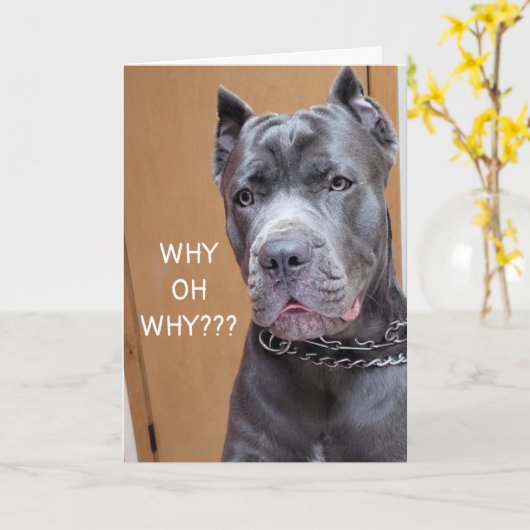 彼はなぜ「70誕生日」のユーモアカードを？ カード (黄色い花)