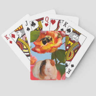 彼はまだ行っていますか。 蜂からの隠れているモルモットは上がりました トランプ