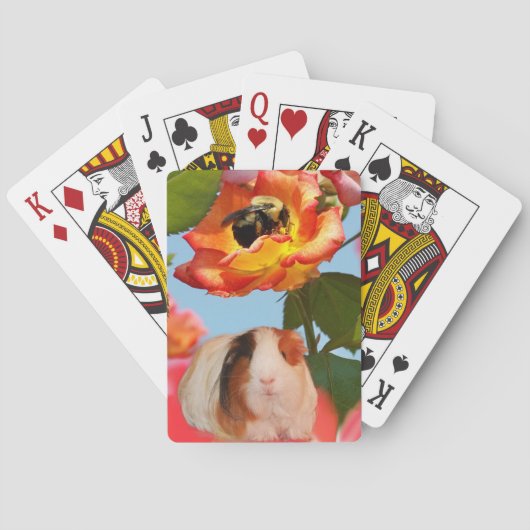 彼はまだ行っていますか。 蜂からの隠れているモルモットは上がりました トランプ (裏面)