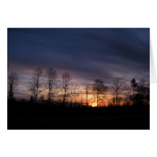 彼は任命しました