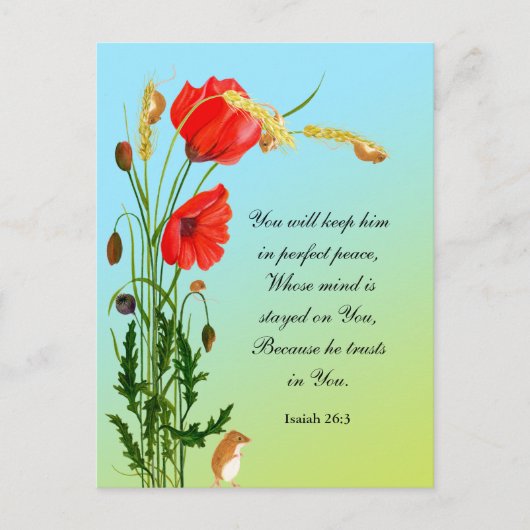 彼は保全く安らかに保つ ポストカード (正面)