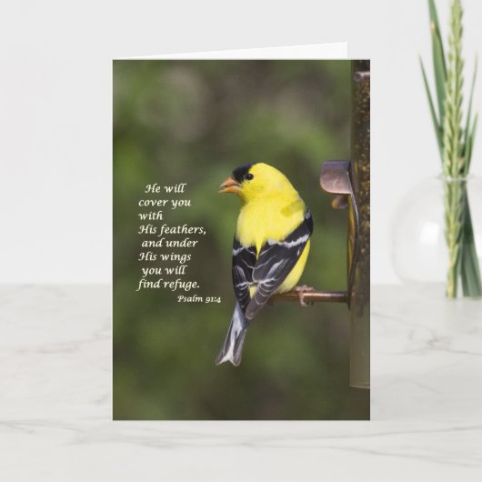 彼は君を羽で覆う カード (正面)