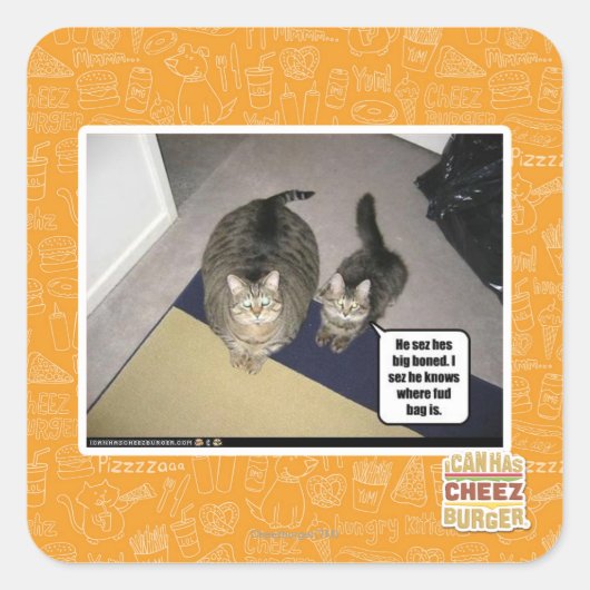 彼は大きく骨を折る。 スクエアシール (正面)