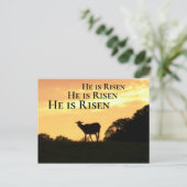 彼は復活祭を起こした子羊 ポストカード (スタンド正面)