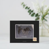 彼は排便する ポストカード (スタンド正面)