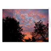 彼は毎朝新しい傾向を持っている、Parakaleo注 (正面横)