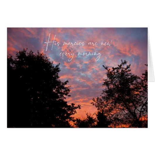 彼は毎朝新しい傾向を持っている、Parakaleo注 (正面横)