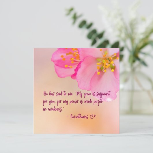 彼は私にキリスト教のフローラを言った感動的 (スタンド正面)