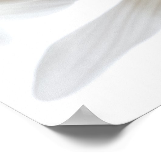 彼は私を愛している…彼は私を愛していない ポスター (角)