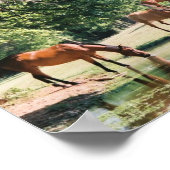 彼は私を静水の脇に連れて行く… ポスター (角)