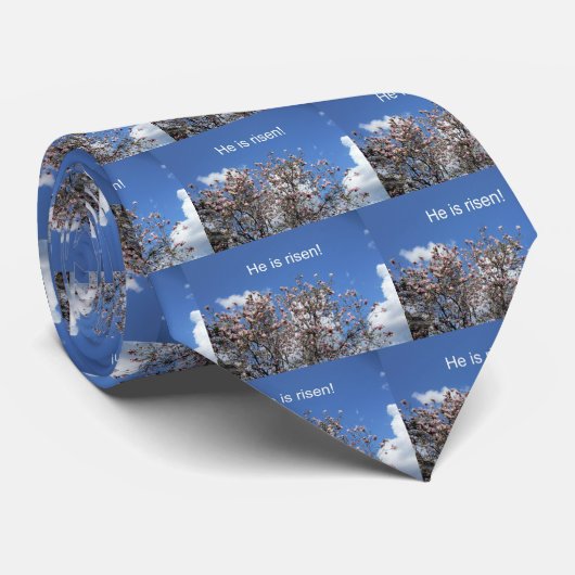 彼は立ち上がった！ ネクタイ (ロール)