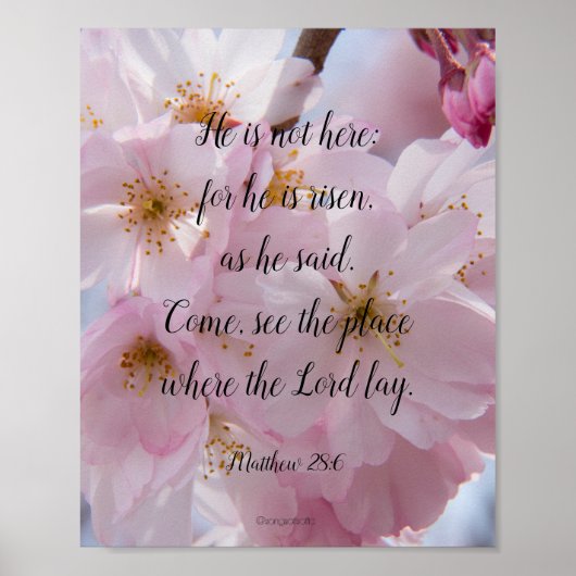 彼は立ち上がった！ ポスター (正面)