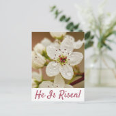 「彼は立ち上がった」復活の日曜のはがき ポストカード (スタンド正面)