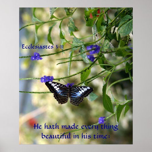 彼は美しいポスターを全て作った ポスター (正面)