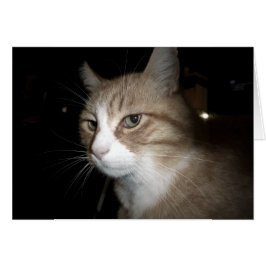 彼は考える何だ？