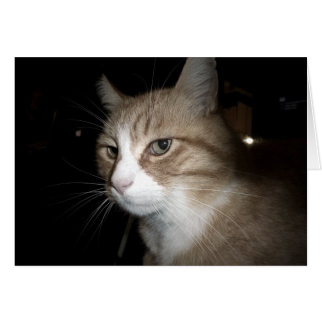 彼は考える何だ？ (正面横)