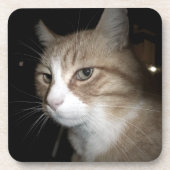 彼は考える何だ？ コースター (正面)