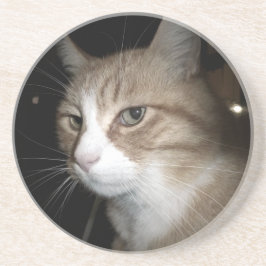 彼は考える何だ？ コースター