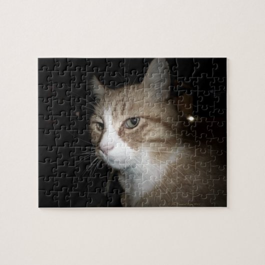 彼は考える何だ？ ジグソーパズル (横)