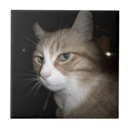 彼は考える何だ？ タイル