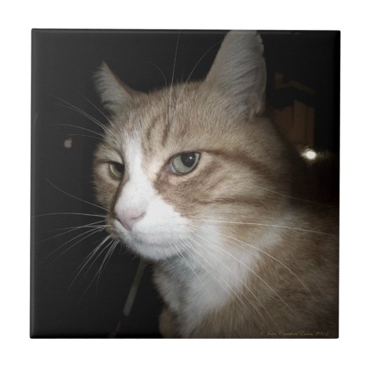 彼は考える何だ? タイル (正面)