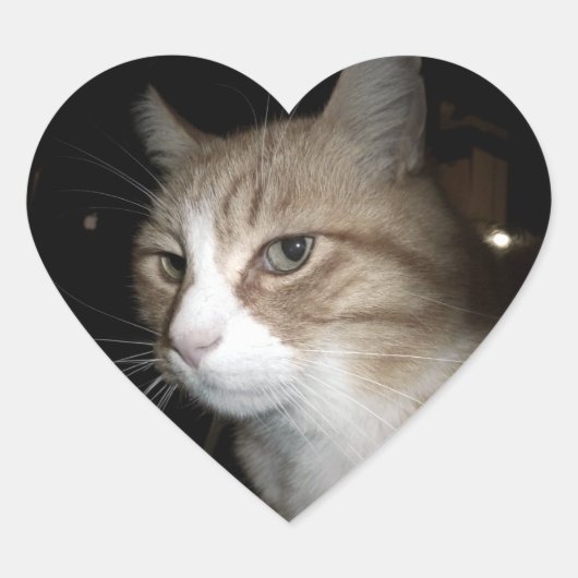 彼は考える何だ？ ハートシール (正面)