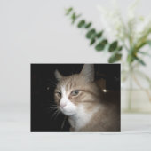 彼は考える何だ？ ポストカード (スタンド正面)