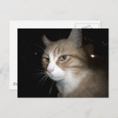 彼は考える何だ？ ポストカード (正面/裏面)