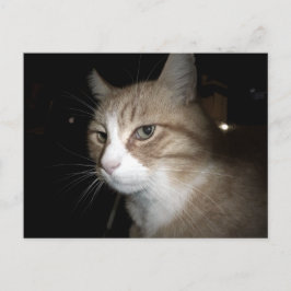 彼は考える何だ？ ポストカード