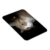 彼は考える何だ？ マグネット (右側)