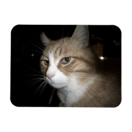 彼は考える何だ？ マグネット