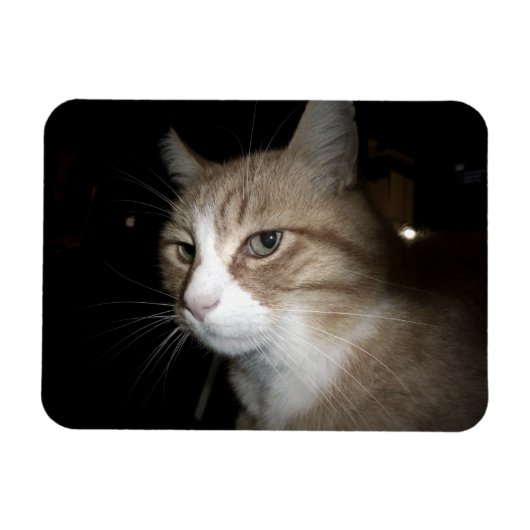 彼は考える何だ？ マグネット (横)