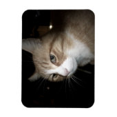 彼は考える何だ？ マグネット (縦)