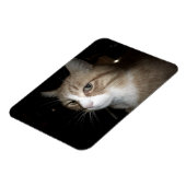 彼は考える何だ？ マグネット (左側)