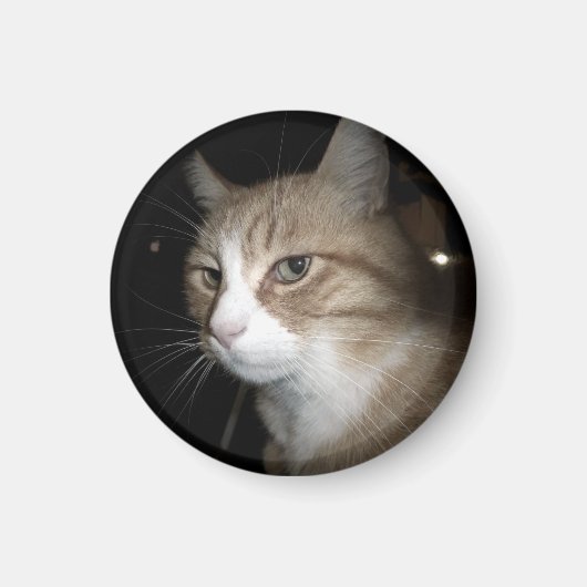 彼は考える何だ？ マグネット (正面)