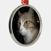 彼は考える何だ？ メタルオーナメント (右)