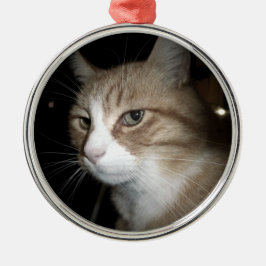 彼は考える何だ？ メタルオーナメント