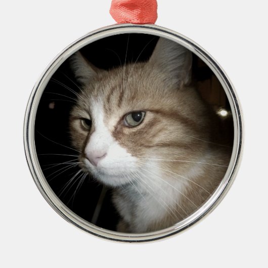 彼は考える何だ？ メタルオーナメント (正面)