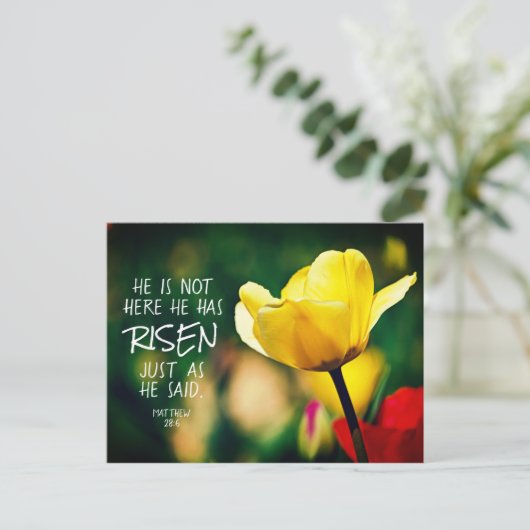 彼は聖書の聖句チューリップ復活祭を復活させた ポストカード (スタンド正面)