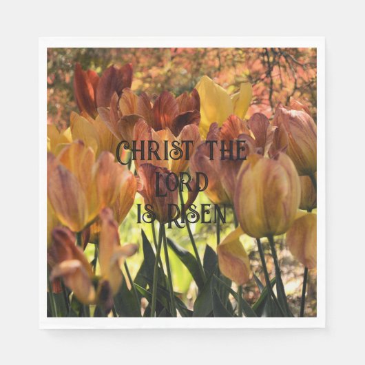 彼は起き上がった紙のナプキン スタンダードランチョンナプキン (正面)